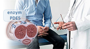 Sildenafil remt het enzym PDE5